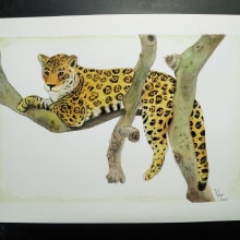 Jaguar - aprendiendo con Balamoc. Un proyecto de Ilustración tradicional, Bellas Artes y Pintura a la acuarela de Niyive Ruiz Chávez - 29.12.2022