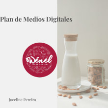 Desarrollo de un plan de medios digitales Wënel. Advertising, Social Media, Digital Marketing, Facebook Marketing, Growth Marketing, and SEO project by Joceline Pereira - 05.09.2023