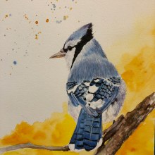 My project for course: Artistic Watercolor Techniques for Illustrating Birds. Un proyecto de Ilustración tradicional, Pintura a la acuarela, Dibujo realista e Ilustración naturalista				 de kwestonarts - 26.05.2023