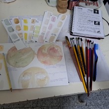 Meu projeto do curso: Criação de aquarelas líquidas e tintas botânicas . Arts, Crafts, Fine Arts, Painting, Watercolor Painting, DIY, and Color Theor project by Maria Lorenci - 05.30.2023