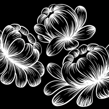 Florals. Un proyecto de Ilustración tradicional de Jill Savory - 09.06.2023