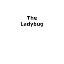The Ladybug. Photograph, Animation, Arts, Crafts, Video, Stop Motion, Fiber Arts, and Needle Felting project by rachelroseballard - 06.21.2023