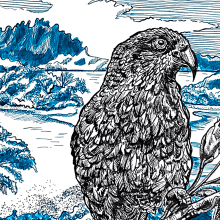 Newzealand. Un proyecto de Bocetado, Dibujo, Dibujo artístico, Sketchbook, Ilustración con tinta e Ilustración naturalista				 de Annette Brockmann - 27.06.2023