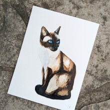 Watercolor siamese. Traditional illustration, Painting, and Watercolor Painting project by Caroline Chrétien - 06.23.2023