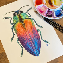 Jewel Beetle Watercolour (w/process). Traditional illustration, Fine Arts, Painting, Watercolor Painting, and Naturalistic Illustration project by Lyndsay Stephenson - 07.01.2023