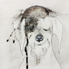 My project for course: Animal Illustration with Charcoal and Ink. Fine Arts, Drawing, Ink Illustration, and Naturalistic Illustration project by Viera Strakova - 07.01.2023