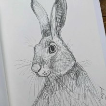 My project for course: Naturalistic Animal Drawing with Graphite Pencil. Traditional illustration, Pencil Drawing, Drawing, and Naturalistic Illustration project by Anna Avigad - 07.03.2023
