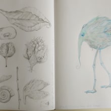 My project for course: Whimsical Sketchbook: Draw Imaginary Creatures from Nature. Un proyecto de Dibujo a lápiz, Dibujo, Pintura a la acuarela, Sketchbook e Ilustración naturalista				 de monetvenice42 - 04.07.2023
