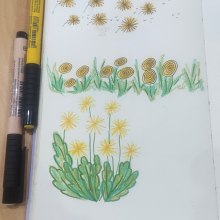 My project for course: Creative Drawing Techniques for Beginners. Design, Traditional illustration, Pencil Drawing, and Drawing project by Teresa Figueiredo - 07.14.2023