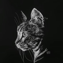 Scratchboard kitty . Traditional illustration, Fine Arts, Drawing, Ink Illustration, Naturalistic Illustration, and Engraving project by Yaiza - 07.18.2023