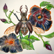 My project for course: Naturalistic Illustration in Watercolor and Gouache. Fine Arts, Painting, Watercolor Painting, Botanical Illustration, Naturalistic Illustration, and Gouache Painting project by Sabine Nimz - 07.21.2023