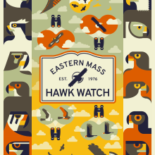 Final Project: Vector Illustration for Vibrant Compositions (Eastern Mass Hawk Watch). Ilustração vetorial, Ilustração digital, e Desenho digital projeto de Brian Rusnica - 23.07.2023