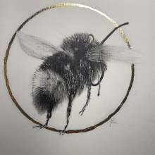 "Bee with Bling". Un proyecto de Creatividad, Dibujo realista, Dibujo artístico e Ilustración naturalista				 de Joni Postlewaite - 27.07.2023