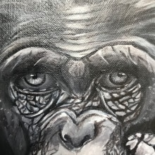 Chimp. Traditional illustration project by Isabel Quiroga Castro - 07.29.2023