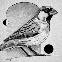 My project for course: Realistic Illustration of Birds with Imaginative Elements. Un proyecto de Dibujo a lápiz, Dibujo, Ilustración con tinta e Ilustración naturalista				 de Kayley Sims - 23.07.2023