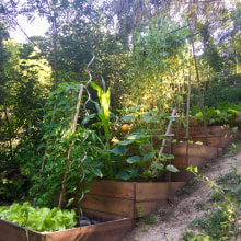 Terraced Vegetable Beds. Un proyecto de Paisajismo de carla_maria - 01.08.2023