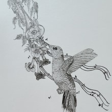 My project for course: Realistic Illustration of Birds with Imaginative Elements. Un proyecto de Dibujo a lápiz, Dibujo, Ilustración con tinta e Ilustración naturalista				 de Susan Evans - 10.08.2023