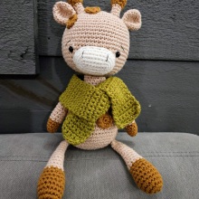 My project for course: Crocheting Amigurumi Animals for Beginners. Artesanato, Design de brinquedos, Crochê, Amigurumi, e Design têxtil projeto de yinyin_makes - 12.08.2023