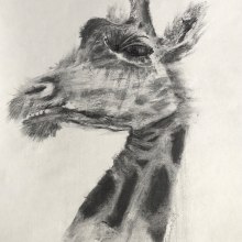 My project for course: Animal Illustration with Charcoal and Ink. Fine Arts, Drawing, Ink Illustration, and Naturalistic Illustration project by Natalia Turkiewicz - 08.08.2023