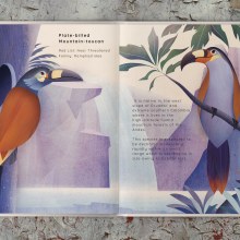 My project for course: Wildlife Illustration for Children's Books. Un proyecto de Ilustración vectorial, Ilustración digital e Ilustración infantil de Sabrin Deirani - 14.09.2023