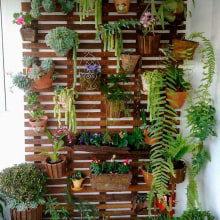 Mi proyecto del curso: Diseño de espacios verdes para tu casa. Un proyecto de Paisajismo, Diseño floral, vegetal, Diseño de espacios, Lifest y le de Wendy Alcántara Murga - 23.09.2023