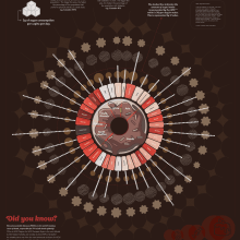 The Sweetest Edpidemic. Un proyecto de Diseño gráfico, Arquitectura de la información, Diseño de la información, Diseño interactivo e Infografía de Nicolas Munera - 26.09.2023
