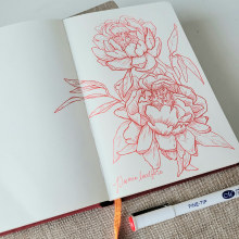 My project for course: Botanical Sketchbooking: A Meditative Approach. Ilustração tradicional, Esboçado, Desenho, Pintura em aquarela, Ilustração botânica, e Sketchbook projeto de Dawn Toussaint - 29.09.2023
