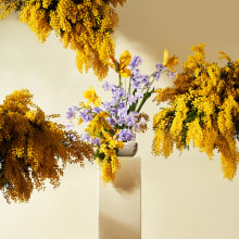 Golden Spring Rain | Floral Design . Design, Publicidade, Direção de arte, e Design de cenários projeto de Valentina Teinitzer - 13.05.2022
