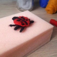 My ladybug animation . Photograph, Animation, Arts, Crafts, Video, Stop Motion, Fiber Arts, and Needle Felting project by Juan Esteban Silva - 10.07.2023