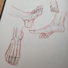 My project for course: Anatomical Drawing of Limbs, Hands and Feet. Fine Arts, Sketching, Pencil Drawing, Drawing, Portrait Illustration, Portrait Drawing, Realistic Drawing, Artistic Drawing, Sketchbook, Figure Drawing & Ink Illustration project by Claire Gervais - 10.24.2023
