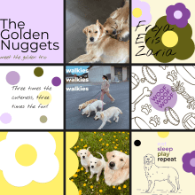 The Golden Nuggets - My three golden retrievers. Un proyecto de Diseño, Br, ing e Identidad, Diseño gráfico, Tipografía, Diseño de logotipos y Diseño tipográfico de zsizsifru - 31.10.2023