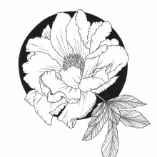 Ink Drawings. Un proyecto de Dibujo a lápiz, Dibujo, Ilustración botánica, Ilustración con tinta, Diseño floral y vegetal de Jessica Piechotta - 04.11.2023