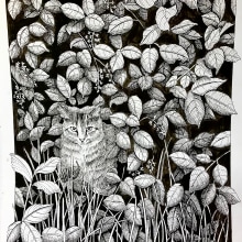 My project for course: Dip Pen and Ink Illustration: Capturing The Natural World. Sketching, Drawing, Artistic Drawing, Sketchbook, Ink Illustration, and Naturalistic Illustration project by naraerosayoo - 11.07.2023