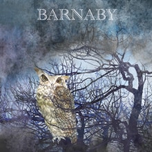 Barnaby - My project for course: Children’s Fiction: Write Compelling Adventure Stories. Escrita, Narrativa, Escrita de ficção, e Literatura infantil projeto de sharonrevans - 09.11.2023
