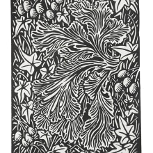 My project for course: Contemporary Printmaking with Linoleum. Ilustração tradicional, Artesanato, Artes plásticas, Estampagem e Ilustração com tinta projeto de Suzanna Watkinson - 14.11.2023