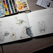 My project for course: Illustrated Travel Sketchbook: Recording Nature. Desenho a lápis, Desenho, Pintura em aquarela, Sketchbook e Ilustração naturalista projeto de Ivonne Wierink - 05.12.2023