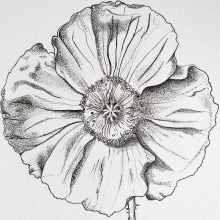 Bloom . Ilustração botânica projeto de Xenia Bier - 08.12.2023