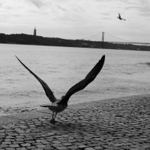 Lisbon's spirit. Fotografia, Fotografia em exteriores, Fotografia Lifest, e le projeto de Erika Egri - 10.12.2023