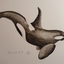 My project for course: Naturalist Illustration Techniques: Whales in Watercolor. Fine Arts, Painting, Watercolor Painting, and Naturalistic Illustration project by Kate P - 12.13.2023