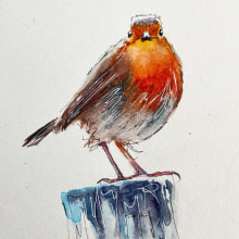 Free no frills Robin tutorial for this Season! . Watercolor Painting project by Sarah Stokes - 12.21.2023