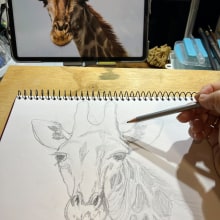 My project for course: Watercolor Illustration: Painting Realistic Wildlife. Fine Arts, Painting, Watercolor Painting, and Naturalistic Illustration project by Lizzii Bowman - 12.26.2023