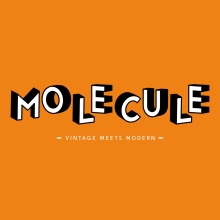 Molecule shop - Brand design. Br, ing, Identit, Graphic Design, T, pograph, Digital Illustration, Br, and Strateg project by Vicky Perry-Reed - 12.31.2023