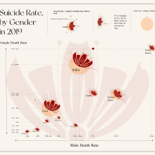 Data Visualization and Information Design: Create a Visual Model (Suicide Rate in 2019). Information Architecture, Information Design, Interactive Design & Infographics project by urcdaru - 01.02.2024