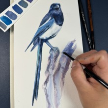 My project for course: Watercolor Illustration: Painting Realistic Wildlife. Fine Arts, Painting, Watercolor Painting, and Naturalistic Illustration project by Natalia Pulido - 01.06.2024