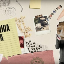 Querida Aina - Contranatura | Videoclip Collage Animado . Design, Música, Animação, Colagem, Vídeo, e Stop Motion projeto de Nú Larruy - 09.01.2024