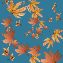 Botanical surface pattern. Art Direction project by Jane Mitchell - 01.11.2024