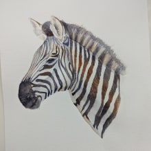 My project for course: Watercolor Illustration: Painting Realistic Wildlife. Fine Arts, Painting, Watercolor Painting, and Naturalistic Illustration project by sandralenore - 01.18.2024