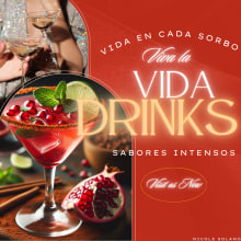 ¡Viva la Vida! - DRINKS. Design Management, Marketing, Management, Productivit, Innovation Design, and Business project by Nicole Alejandra Solano Castro - 01.23.2024