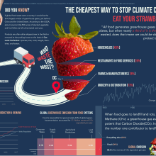 The easiest way to stop climate change, eat your strawberries.. Infographics project by raissa.talehata - 01.26.2024