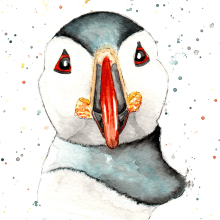 Watercolour Puffin. Traditional illustration, and Watercolor Painting project by Suzanne Porter - 02.11.2024